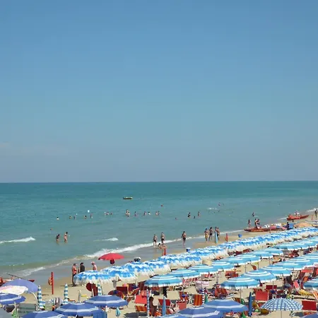 Cavalluccio Marino I7 Silvi *