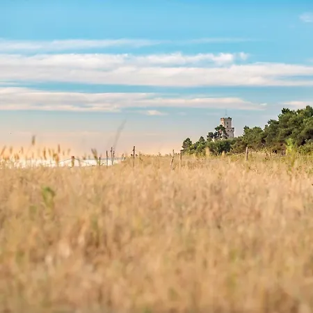 Apartament Cavalluccio Marino I7 Silvi Silvi Marina