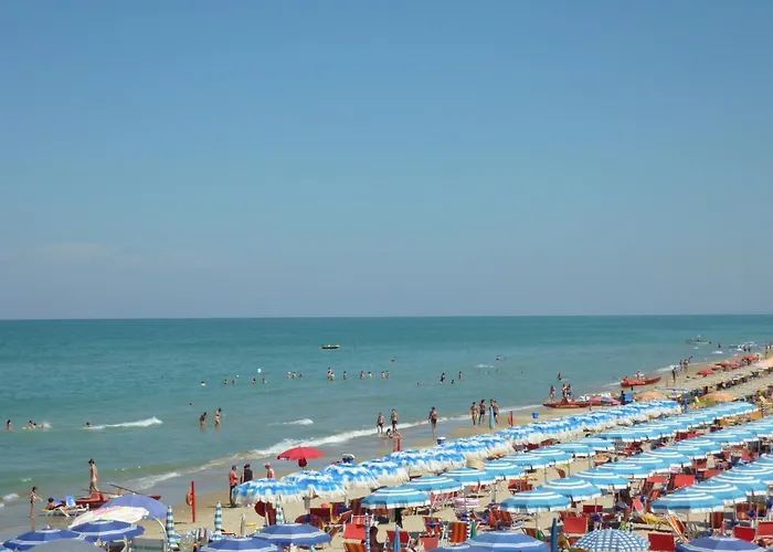 Cavalluccio Marino I7 Silvi *